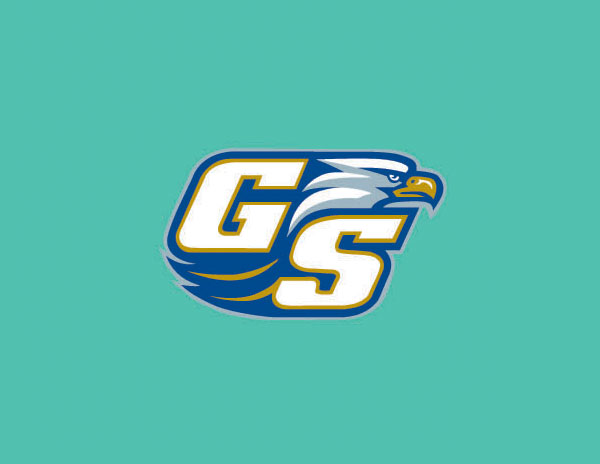 GS字母简写与鹰元素结合的LOGO设计