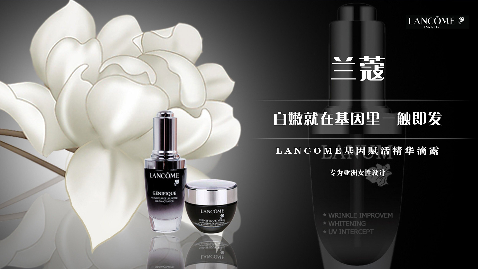 LANCOME蘭蔻産品包裝設計(jì) LANCOME蘭蔻産品包裝設計(jì)/