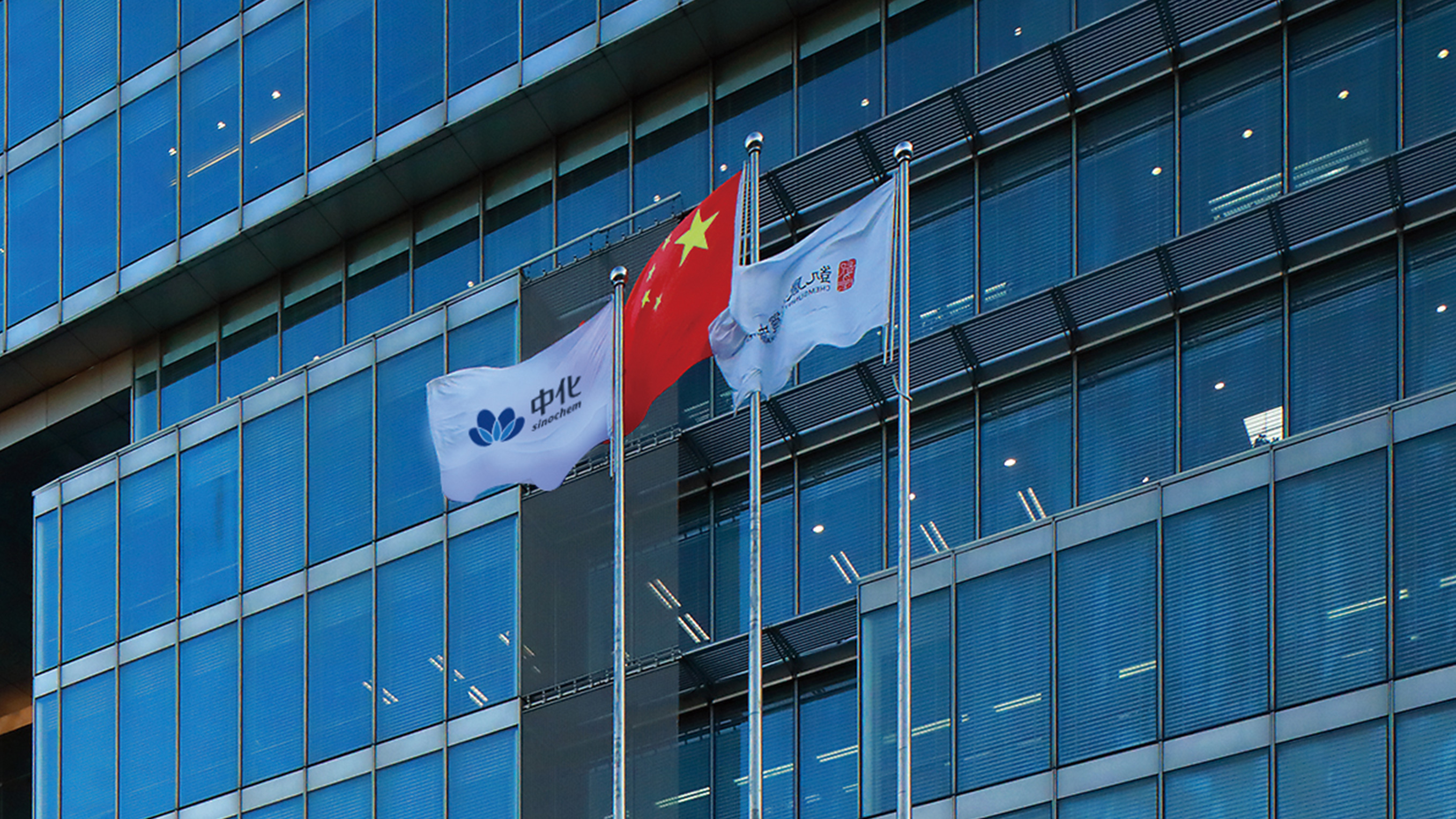 中化(huà)LOGO設計(jì)旗子(zǐ)效果