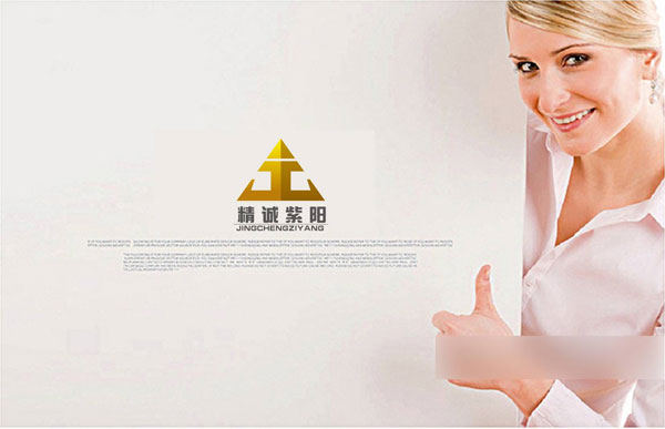 投資公司LOGO設計(jì)/