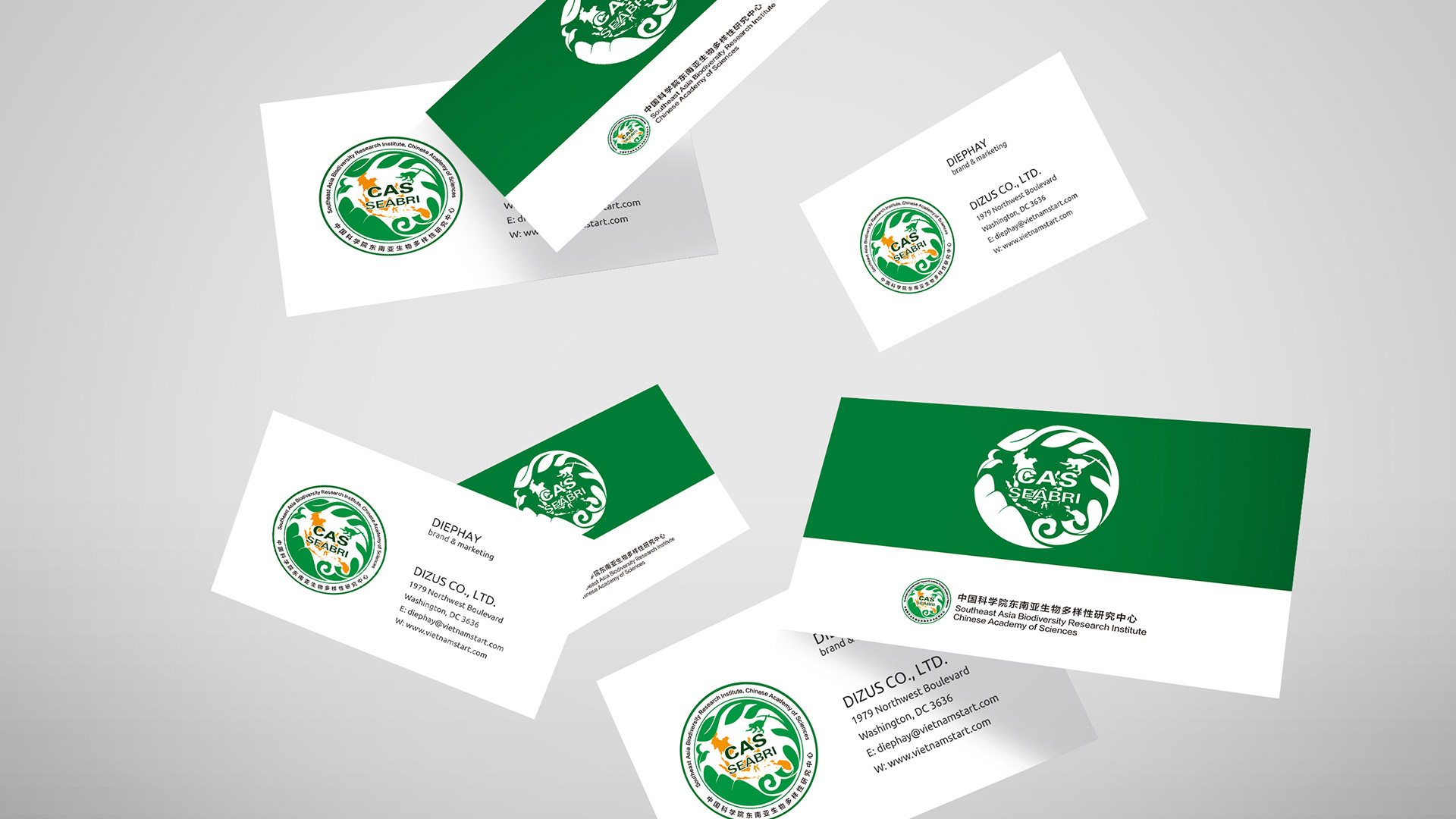 中國(guó)科(kē)學院東(dōng)南(nán)亞生(shēng)物(wù)多(duō)樣性研究中心LOGO設計(jì)