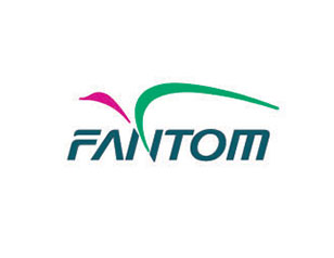 FANTOM航空(kōng)服務公司LOGO設計(jì)