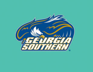 GEURGIASOUTHERN信息調查公司LOGO設計(jì)