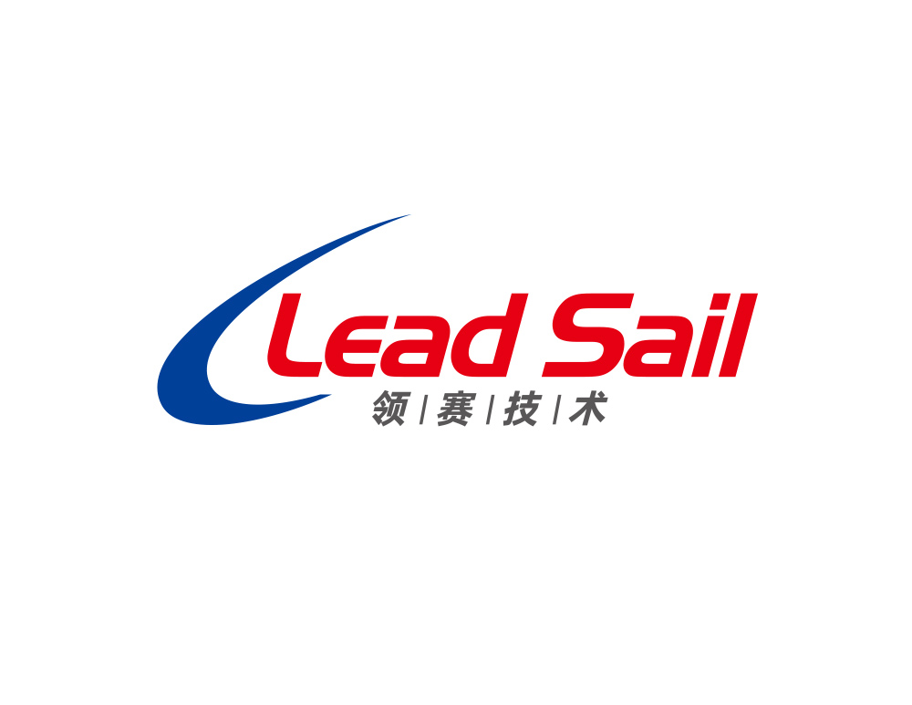 天津領賽信息技(jì)術(shù)公司LOGO設計(jì)