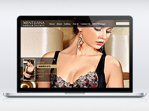 北(běi)京億達融國(guó)際服飾有(yǒu)限公司塑身(shēn)內(nèi)衣品牌LOGO設計(jì)